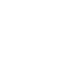 логотип The Traider