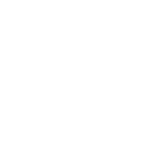 логотип компании PowerMotoTechnics